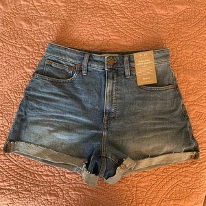 Curvy High-Rise Denim Shorts - Lavista Wash